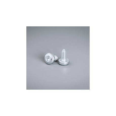 CNT06 ELDON Tornillos Extrudetite, M6 Torx pack de 250