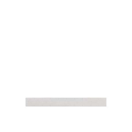 8WH8110-5AA05 SIEMENS Labeling plate, front, horizontal und vertical, Terminal width: 10.2 mm, H: 10.5 mm, w..