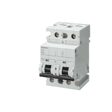5SP4291-8 SIEMENS Interruttore magnetotermico 400V 10 kA, a 2 poli, D, 100A, P 70mm