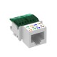 ASM-C5 6117337 OBO BETTERMANN Anschlussmodul Kat. 5 ungeschirmte,