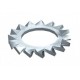 DIN 6798 A M12 G 3404129 OBO BETTERMANN rondella dentata, M12, mi electrozincado, DIN 50961 Acciaio St