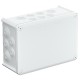 T 350 RW 2007568 OBO BETTERMANN Junction Box mit Einträgen, 285x201x120, reines Weiß, 9010, Polypropylen, gl..