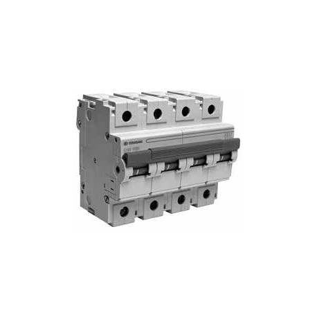 104459 TERASAKI Int. interruttore XACurva D 10KA 80A 2P 3M