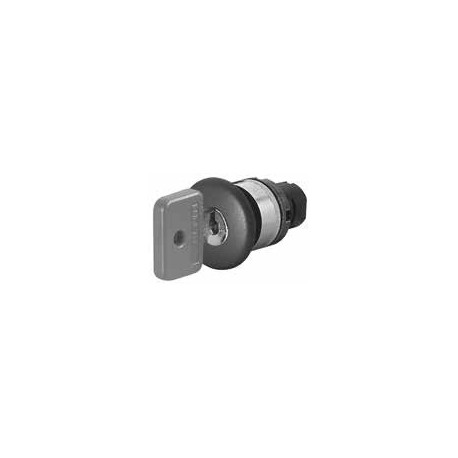 PTHCNK TERASAKI Push button mushroom neg resin lock key