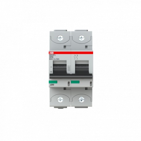 2CCF019606R0001 ABB S802PV-SP80 de Haute Performance de la MCB