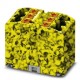 PTFIX 6X2,5-FE 3273284 PHOENIX CONTACT Blocco distributore