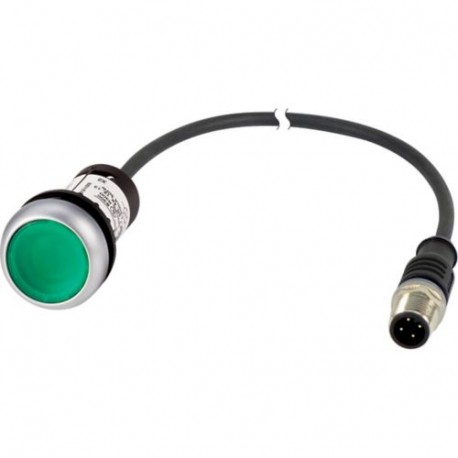 C22-DL-G-K10-24-P5 181300 EATON ELECTRIC Нажимной светящийся выключатель без фиксации зеленый 24 В 1 замыкаю..