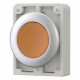 M30C-FDL-A 182924 Y7-182924 EATON ELECTRIC Illuminated pushbutton actuators, Flat Front, flush, momentary, o..