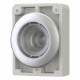 M30C-FDRL-X 182955 EATON ELECTRIC Illuminated pushbutton actuators, Flat Front, flush, maintained, without b..