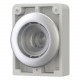 M30C-FDRL-X 182955 Y7-182955 EATON ELECTRIC Illuminated pushbutton actuators, Flat Front, flush, maintained,..