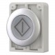 M30C-FDL-W-X100 182966 Y7-182966 EATON ELECTRIC Illuminated pushbutton actuators, Flat Front, flush, momenta..