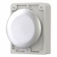 M30C-FB 187028 Y7-187028 EATON ELECTRIC Blanking plug, Flat Front