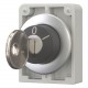 M30C-FWRS-MS* 187048 Y7-187048 EATON ELECTRIC Selector de llave Enclavamiento 2 posiciones Llave personaliza..