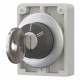M30C-FWRS-X95 187067 Y7-187067 EATON ELECTRIC Key-operated actuators, Flat Front, not suitable for master ke..
