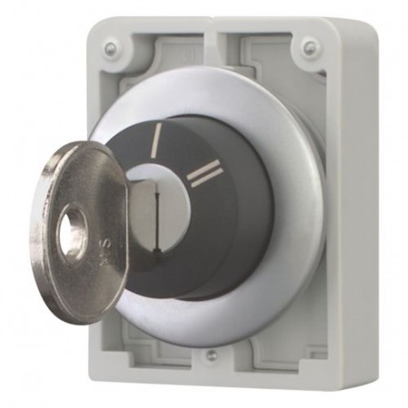 M30C-FWRS-X95 187067 Y7-187067 EATON ELECTRIC Selector de llave Enclavamiento 2 posiciones Llave MS1 Anillo ..