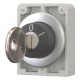 M30C-FWS-MS* 187072 Y7-187072 EATON ELECTRIC Selector de llave Retorno 2 posiciones Llave personalizable Ani..