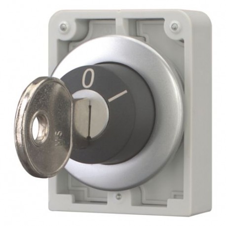 M30C-FWS-MS* 187072 Y7-187072 EATON ELECTRIC Selector de llave Retorno 2 posiciones Llave personalizable Ani..