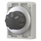 M30C-FW3 187089 Y7-187089 EATON ELECTRIC Selector Mando redondo Retorno 3 posiciones Inscripción: I 0 II
