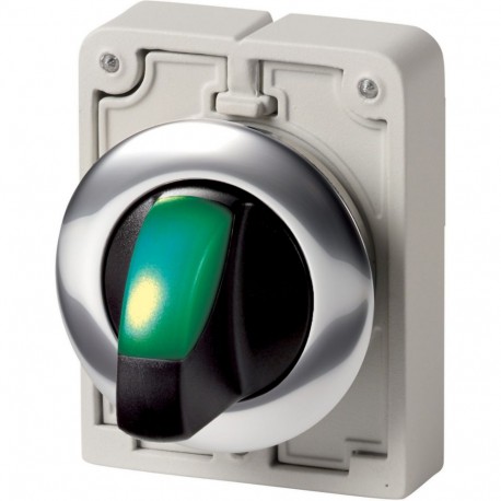M30C-FWLK-G 187121 Y7-187121 EATON ELECTRIC Selector luminoso Maneta corta Retorno 2 posiciones Verde Anillo
