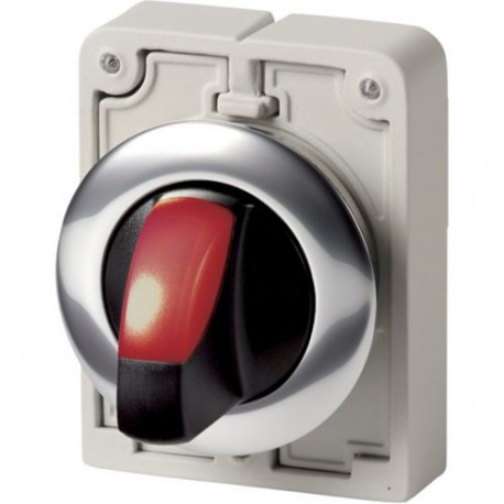 M30C-FWRLK3-R 187133 Y7-187133 EATON ELECTRIC Illuminated selector switch actuators, Flat Front, with thumb-..