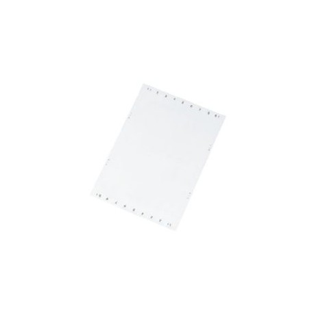 ELO 27.5X12.85 86561268 MURRPLASTIK Marquage Étiquette polycarbonate ELO perforée Pour la désignation des module