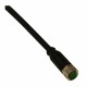 CD08/0B-050A1 MICRO DETECTORS Conector Hembra M8 Axial de 4 polos cable PVC 5 m