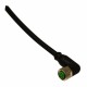 CD08/0B-100C1 MICRO DETECTORS Conector Hembra M8 de 90° 4 polos cable PVC de 10 m