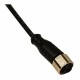 CD12M/AA-020A1 MICRO DETECTORS Conector Hembra M12 Axial NO 3 polos cable PVC de 2m