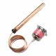 003N0066 DANFOSS CONTROLES INDUSTRIALES Type: SPARE PART, Type designation: Thermostatic element