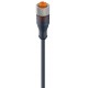 CONB15NF-S2 CARLO GAVAZZI System: Connection cable, Connection: M12, Wire: 5-Wire, Function: Female, socket ..