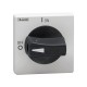 GAX64B LOVATO MANIGLIA BLOCCO PORTA. LUCCHETTABILE, IP65. NERA, PER GA...A, GA063SA E GA...D. FISSAGGIO A GH..
