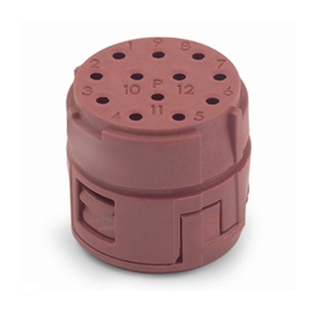 44420123 EPIC SIGNAL M23 12E B D-Sub LAPP Inserti per connettore circolare M23