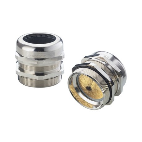 53112087 SKINTOP MS-NPT BRUSH 2" plus LAPP Prensaestopas