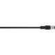 22260458 AB-C4-10,0PUR-M12FS-SH LAPP AB-C4-10,0PUR-M12FS-SH