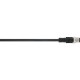 22262098 AB-C3-M12MS-10,0PVC-M12FA LAPP AB-C3-M12MS-10,0PVC-M12FA
