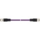 22260798 AB-DN-M12MS-5,0PUR-M12FS LAPP AB-DN-M12MS-5,0PUR-M12FS