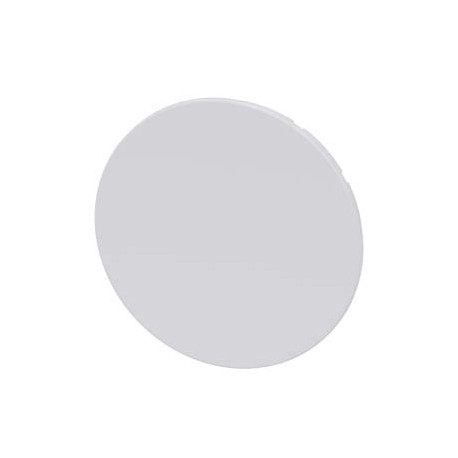 3SU1900-0FT60-0AA0 SIEMENS pushbutton, flat, white, for pushbutton