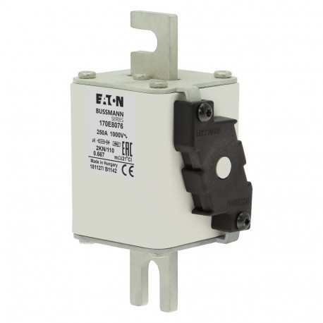 FUSE 250A 1000V 2KN/110 AR 170E8076 EATON ELECTRIC 170E8076