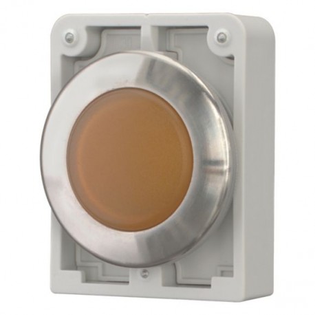 M30I-FL-A-* 188053 EATON ELECTRIC Indicator light, flat front, flush, orange, individual facility for inscri..