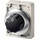 M30I-FWR 188135 Y7-188135 EATON ELECTRIC Selector switch actuators, flat front, with control knob, labeled, ..