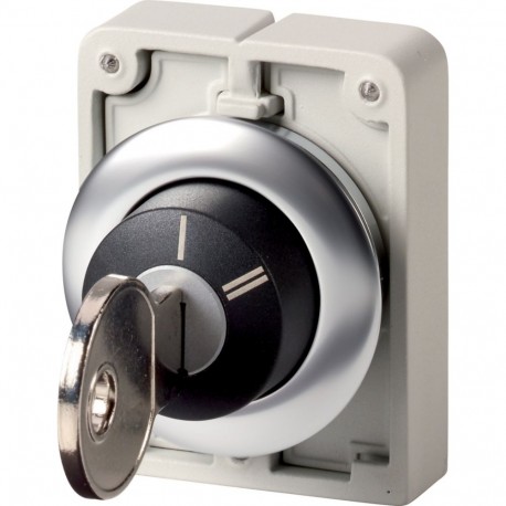 M30I-FWRS-X95 188168 Y7-188168 EATON ELECTRIC Key-operated push-buttons, flat front, not master-key system c..