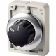 M30I-FWR-X92 188191 Y7-188191 EATON ELECTRIC Selector switch actuators, flat front, with control knob, label..