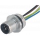 7000-14121-9750100 MURRELEKTRONIK M12 conector brida macho B-cod. montaje frontal PE-wire 5X0.34 1m