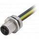 7000-P6281-9400100 MURRELEKTRONIK M12 Power S-cod. brida macho montaje frontal mPPE 4x1.5 1m