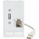 4000-68000-1300000 MURRELEKTRONIK MODLINK MSDD DATA INSERT1×USB-A female/male 0,7m cable + 1xRJ45
