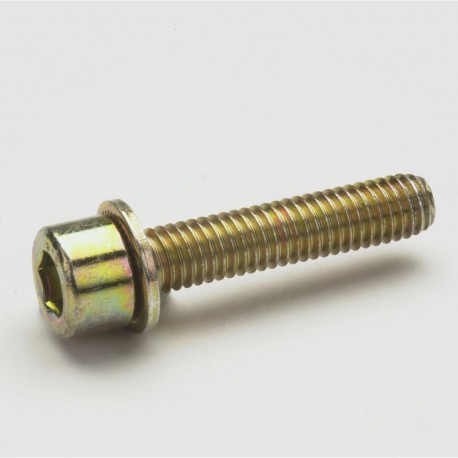 CIL.SCREW 6X80 L24 B6K 1071692 EATON ELECTRIC Hexagon socket head cap Screw M6 x 80