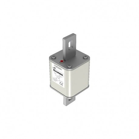 FUSE 100A 500V TP 405 AR 170E2091 EATON ELECTRIC 170E2091