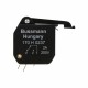 5A 250V MICROSWITCH T1 00-3 170H0237 EATON ELECTRIC Microswitch, ultra-rápido, 2 A, AC 250 V, DIN 00, compac..