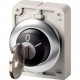 M30I-FWRS*-MS*-* 188140 EATON ELECTRIC Key-operated push-buttons, flat front, not master-key system compatib..