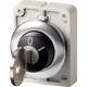 M30I-FWRS*-MS*-* 188140 Y7-188140 EATON ELECTRIC Key-operated push-buttons, flat front, not master-key syste..